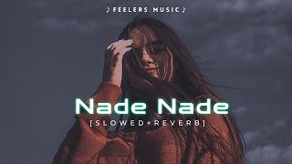 Nede Nede | Slowed Reverb | Lofi Songs | Feelers Music