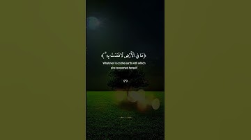 ولو أن لكل نفس ظلمت ما في الأرض لافتدت به وأسروا الندامة | الآية 54 من سورة يونس