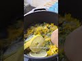 Löwenzahn Honig Sirup | Wildpflanzen, vegan, Dessert, Backen, Limo - super Pflanze 🌼