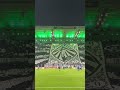 Atemberaubende Choreo 🤩⚫️⚪️ #diefohlen