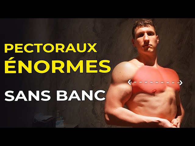 LE SECRET POUR DOUBLER SES PECTORAUX SANS BANC