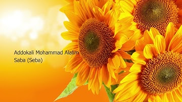 Addokali Mohammad Alalim   034 Surah Saba Seba  الدوكالي محمد العالم   سورة  سبأ