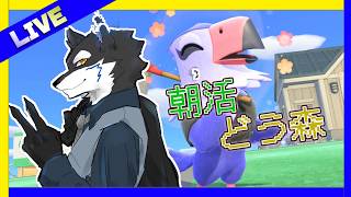 【どうぶつの森】part8  新キャラ来るよ!! Live配信  #どうぶつの森 #あつ森 #朝活