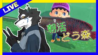 【どうぶつの森】新キャラ来るよ!! Live配信  #どうぶつの森 #あつ森 #朝活