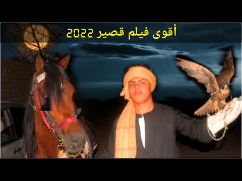 اعلان فيلم الحصان بحر الصعيد الصغير أقوى فيلم قصير عن الخيل في زمن الخديوى رابط الفيلم أول تعليق  اعلان فيلم الحصان بحر الصعيد الصغير أقوى فيلم قصير عن الخيل في زمن الخديوى رابط الفيلم أول تعليق