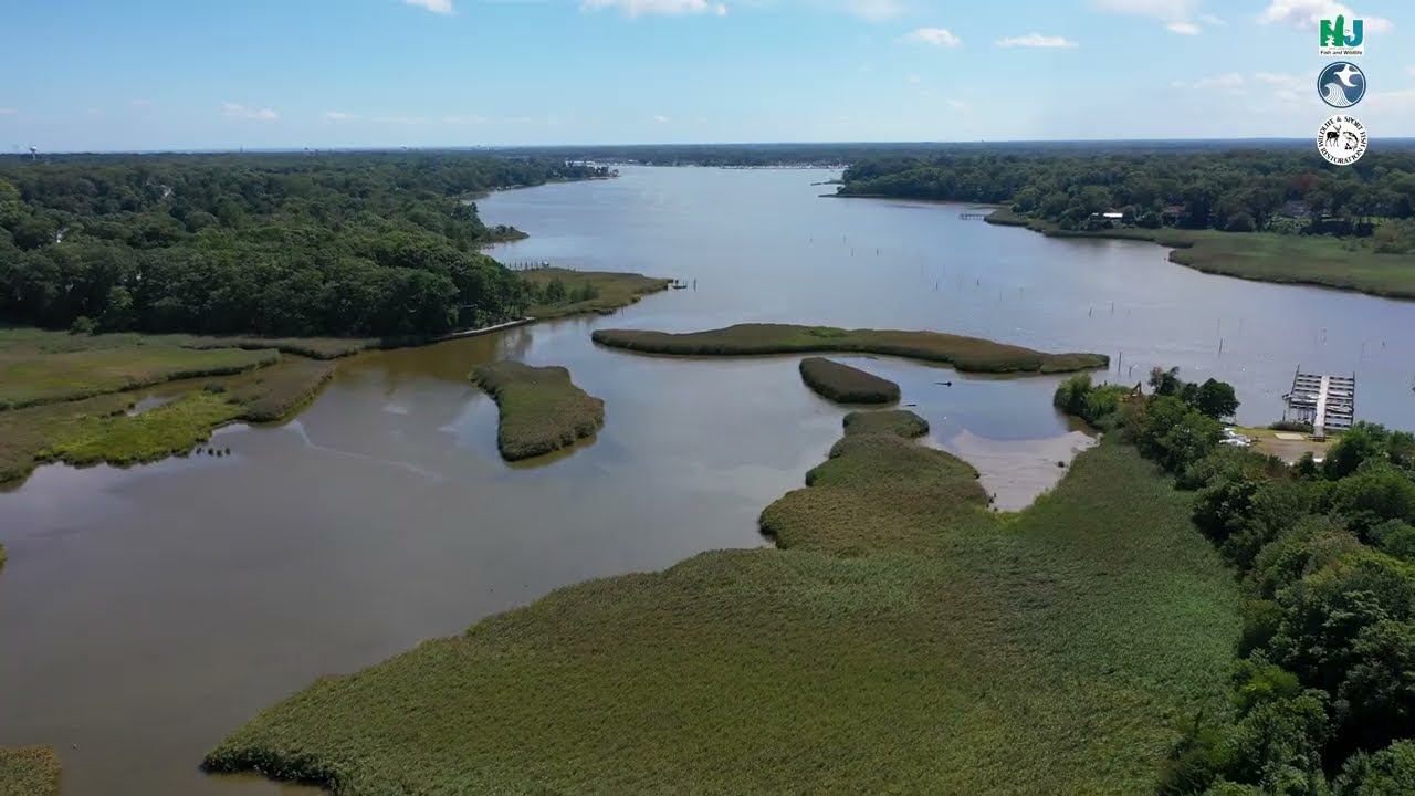 Manasquan River Wildlife Management Area