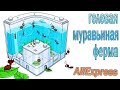 Гелевая муравьиная ферма, первая муравьиная ферма с AliExpress!!!