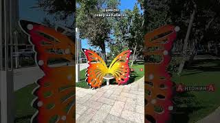 Шымкент,новая аллея на Кабиско, ул. Жибек жолы- Рыскулова
