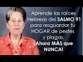 Las raíces Hebreas del Salmo 91 para resguardar tu Hogar de pestes, plagas y otros males.