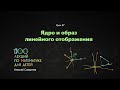 67. Ядро и образ линейного отображения плоскости. Алексей Савватеев. 100 уроков математики