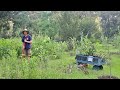 How to start a food forest the easy way