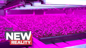 Futuristic Farms: Changing what we eat and how it’s grown — for the better