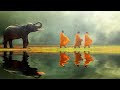 Tranquility: Meditation Sleep Music for deep sleep, rest and relaxation (Gentle hang-drum sounds)