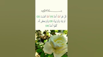 سورة الإخلاص | أرح سمعك 🎧