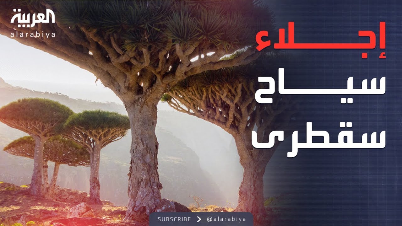 ���� ������ ����.. �������� ����� ���� �����
 - نشر قبل 2 ساعة