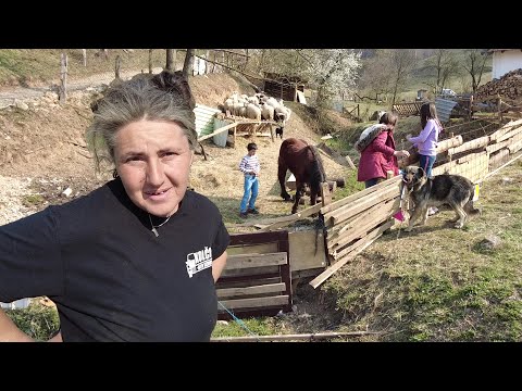 Video: Prije nego što nestanu Jimmy Nelson