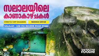 VLOG 110 - 12 Must Visit Places in Salalah || PART 2 - Salalah to UAE Via Duqm || Malayalam VLOG