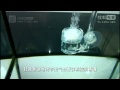 4 in 1 CO2 diffuser from ebay seller u-barn ubarn_aquarium