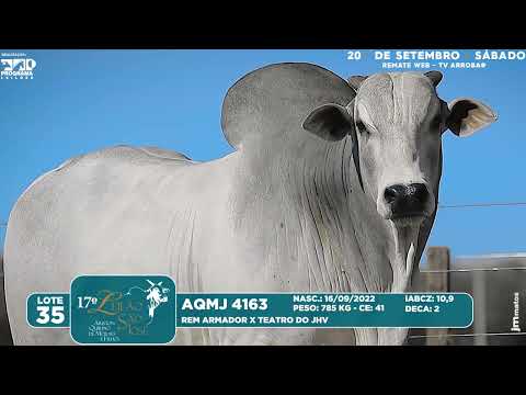 LOTE 35   AQMJ 4163