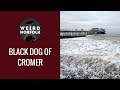 Weird norfolk  the ghost dog of cromer beach