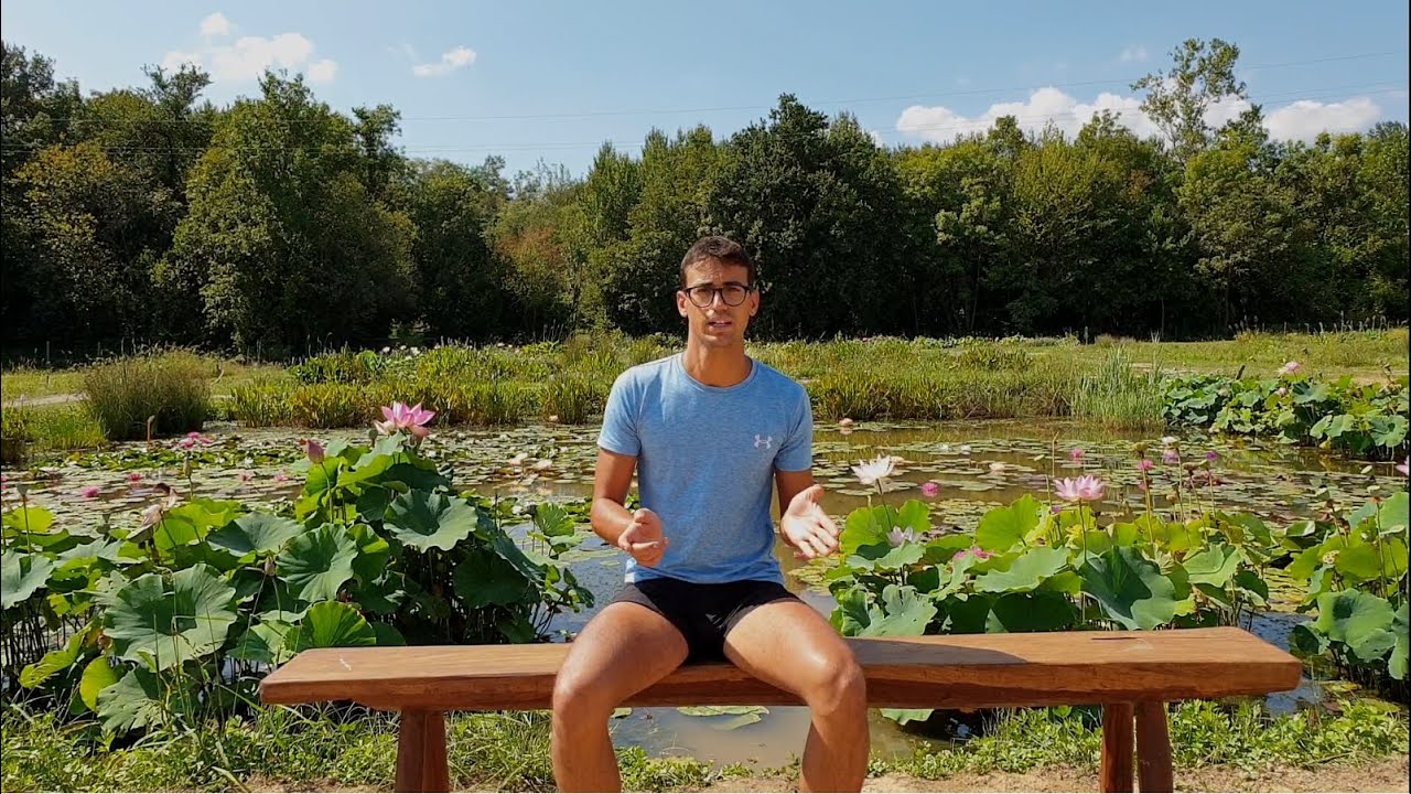 Come realizzare una biopiscina o laghetto balneabile
