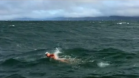 Why can't you swim in the Golden Gate Bridge water?