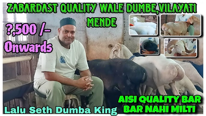 Aktrisa Natalya Yunnikova yalangoch