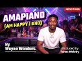 AMAPIANO AM HAPPY I KNOW Wayne Wonders Official Music Video Tunes Melody Records 