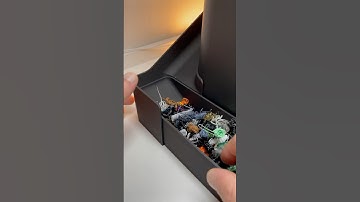 3D printed poop chute for P1S #3dprinting #3d #3dprinted #bambulab #diy #p1s #filament #poopchute