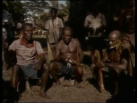 Vidéo: Lézards Volants éteints En Nouvelle-Guinée Moderne