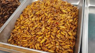 Crickets and Silkworms... Deep-fried