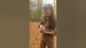 How To Sharpen Your Axe With A Honing Puck