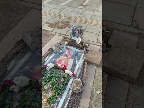 حرفهای مهم خواهر مهدی قلیانس حانباخته وطن