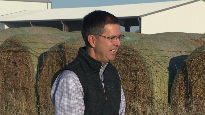 Drought Management: OSU Extension Discounted Forage & Water Testing