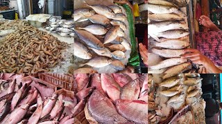 جولة في سوق السمك بدمياط والأسعار مفاجأة لجميع انواع السمك🐟🐠🦈