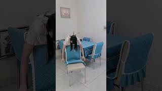 Part 106 Chair Set Chair Mat Tablecloth One Piece Chair Cover Flannelthickened Chair Cover