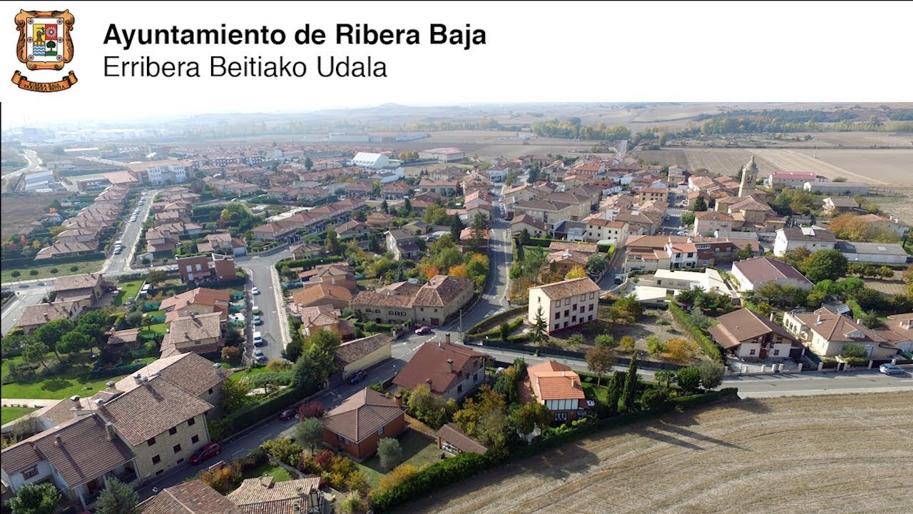 Pleno Ayuntamiento Ribera Baja 21/03/2019