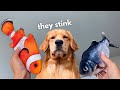 My Dog Reacts to Floppy Fish