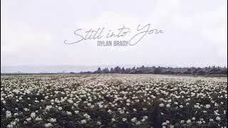Still Into You - Dylan Brady