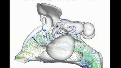 Airflow streamlines visualised by massless particles
