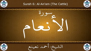القرآن الكريم بصوت احمد نعينع - سورة الأنعام