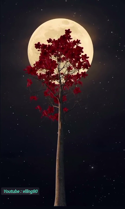 Bulan purnama