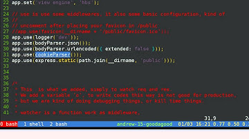 check express js cookie and error