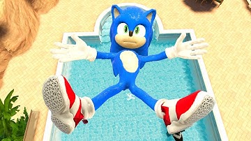 Sonic Ragdolls Physics (GMOD) Episode 749