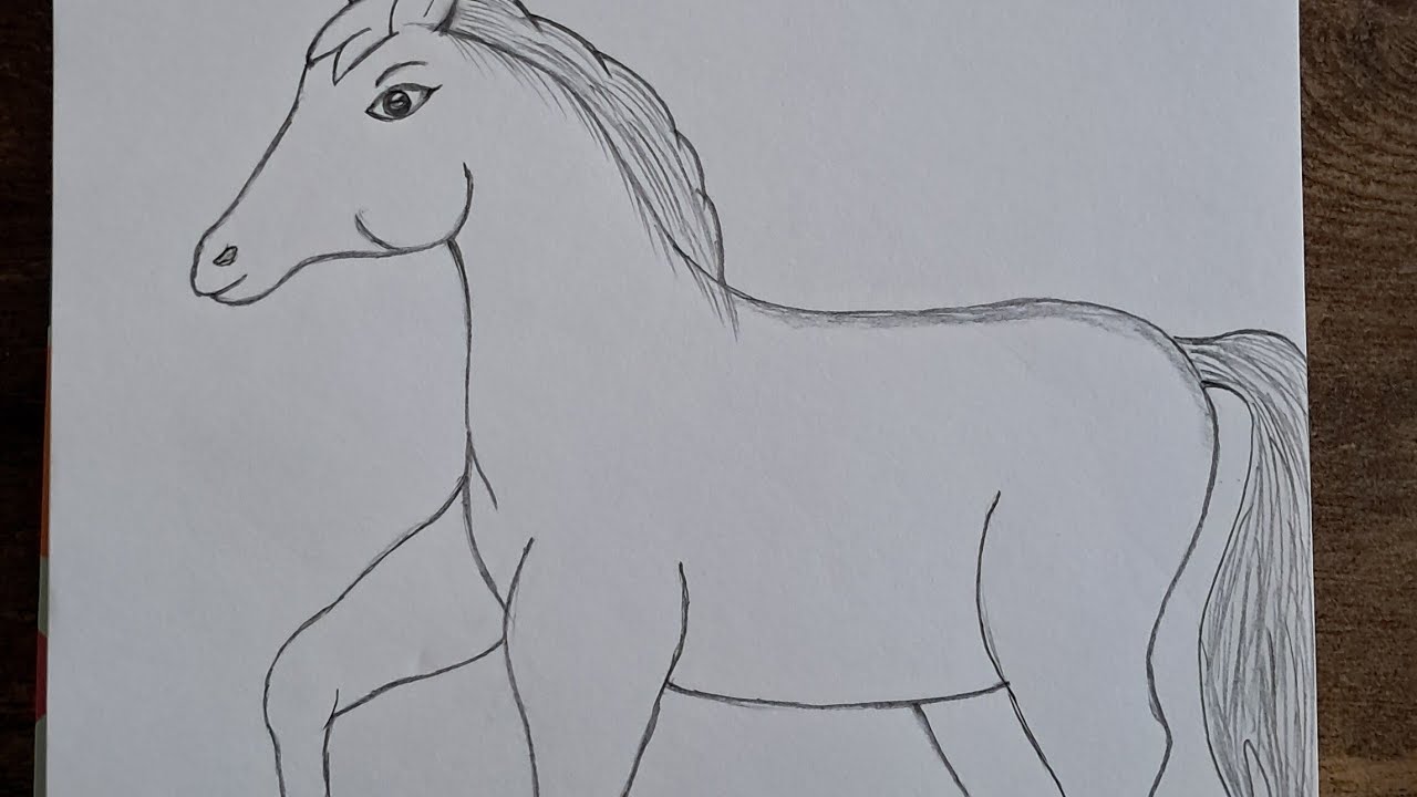 Easy Horse Drawing || How to draw Horse step by step 
