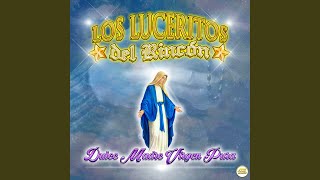 Video thumbnail of "Los Luceritos Del Rincon - Ven A Mi Dulce Pan"