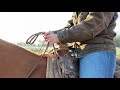 How to Hold Split Reins