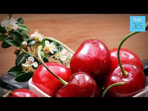 Video: Cherry Plum - Proprietà, Indicazioni, Controindicazioni, Contenuto Calorico