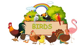 BIRDS Names and Sounds - Learn Bird Species in English
