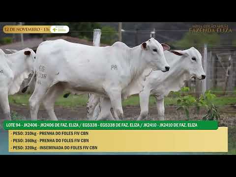 LOTE 94   JK   2406 e 2408 e EG   5340